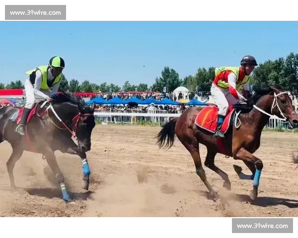 巅峰对决！国内顶级马术赛在邯郸激情开赛